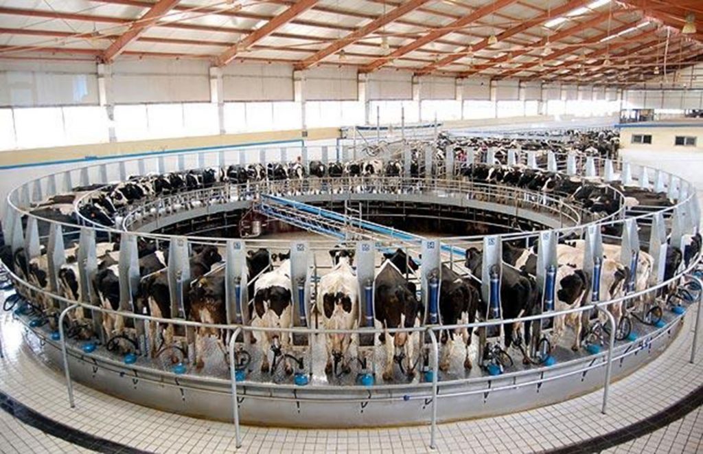 milking-machines,farmers